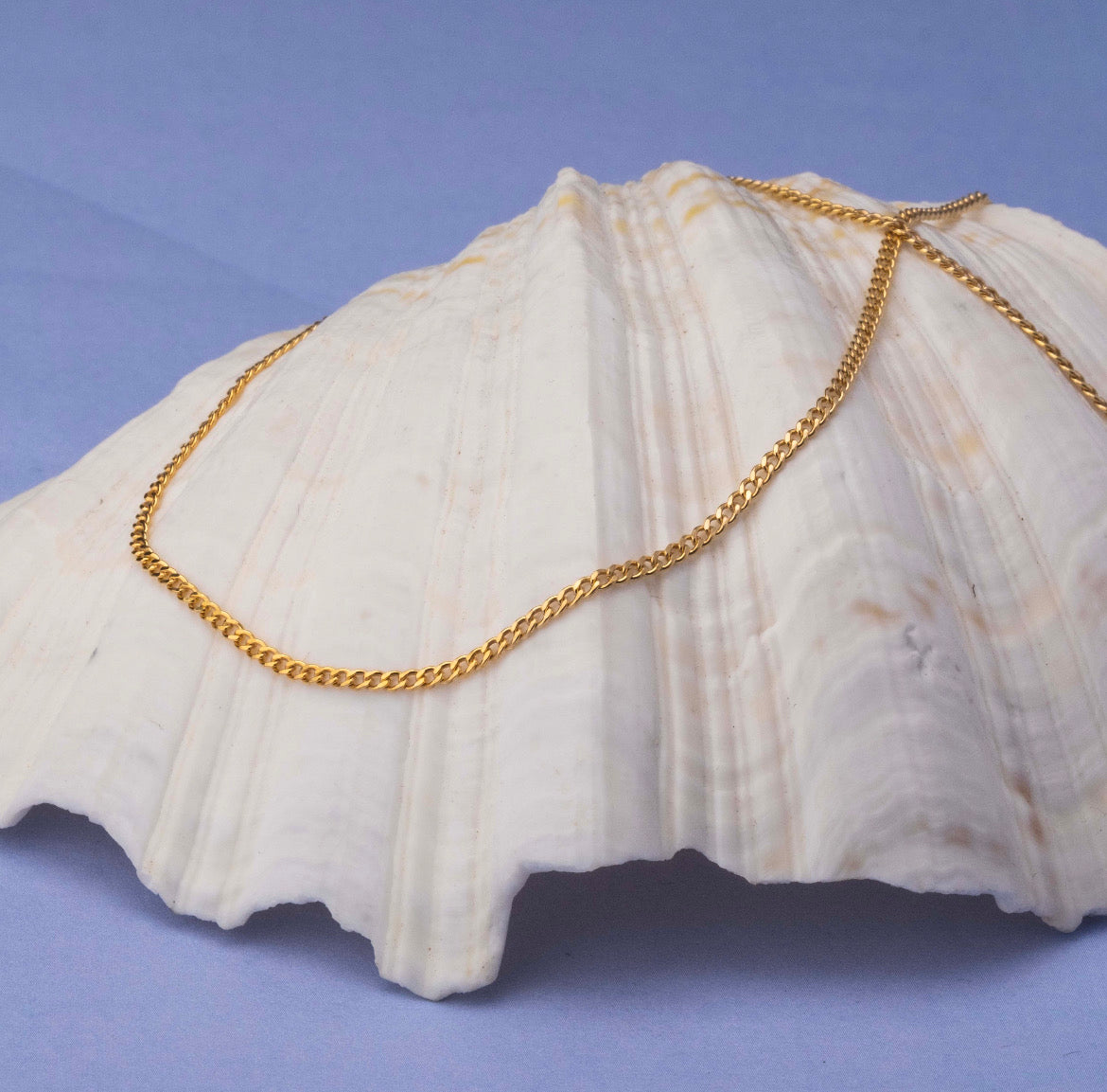 Curb Link Necklace