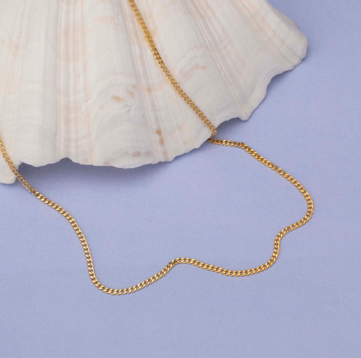 Curb Link Necklace